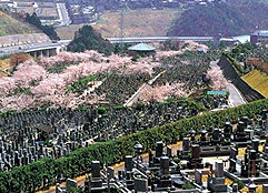 京都霊園(京都府京都市内)