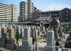 松原市営　阿坂墓地